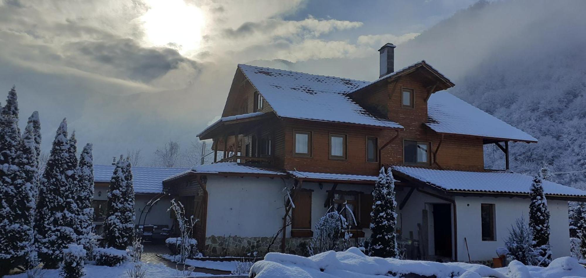 Gasthaus Maria Borlova Экстерьер фото