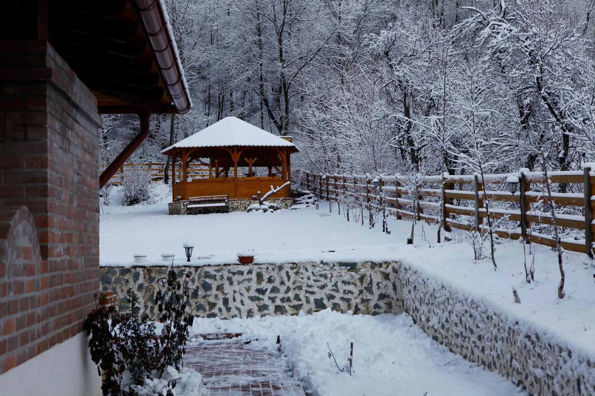 Gasthaus Maria Borlova Экстерьер фото